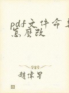 pdf文件命名怎么改