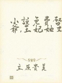 小说免费启禀王爷,王妃她又穷疯了