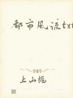 都市风流txt