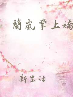 兰岚掌上娇短剧