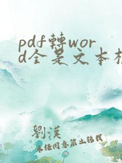 pdf转word全是文本框