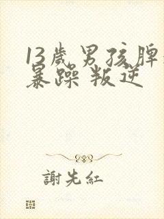 13岁男孩脾气暴躁 叛逆