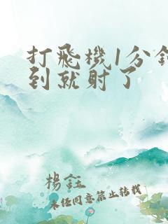 打飞机1分钟不到就射了