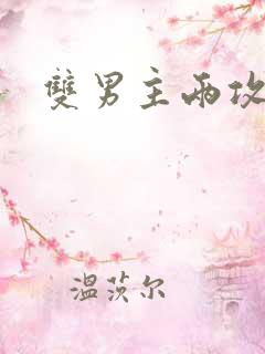 双男主两攻一受
