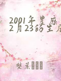 2001年农历2月23的生辰八字