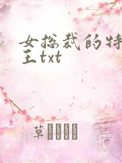 女总裁的特战兵王txt