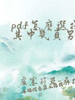 pdf怎么选择其中几页另存