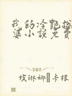 我的冷艳总裁老婆小说免费下载