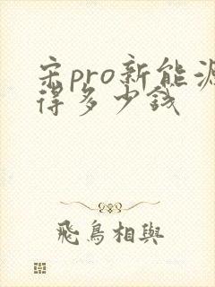 宋pro新能源得多少钱