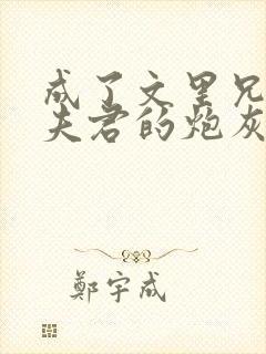 成了文里兄长和夫君的炮灰女配