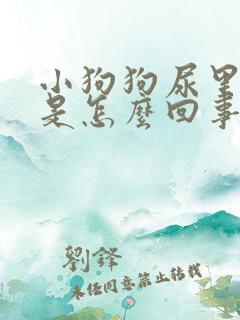 小狗狗尿里有血是怎么回事