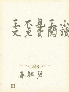 王不见王小说全文免费阅读