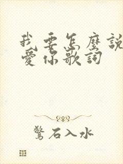 我要怎么说我不爱你歌词