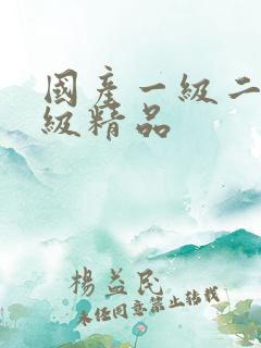 国产一级二级三级精品
