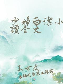 少妇白洁小说阅读全文