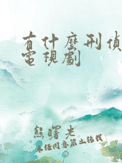 有什么刑侦破案电视剧