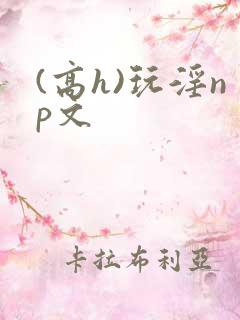 (高h)玩淫np文