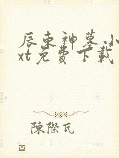 辰东神墓小说txt免费下载
