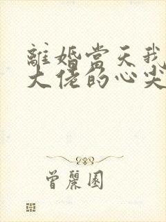 离婚当天我成了大佬的心尖宠主演