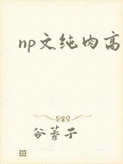 np文纯肉高h