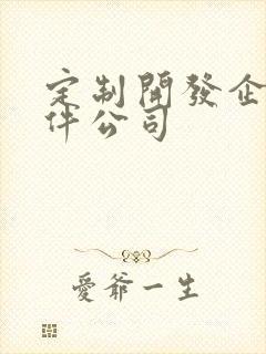 定制开发企业软件公司