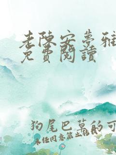 老陈安梦雅全文免费阅读
