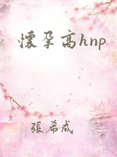 怀孕高hnp