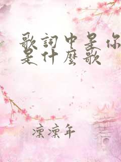 歌词中是你是你是什么歌