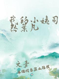 我的小姨司空嫣然叶凡