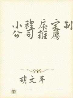 小程序定制开发公司推荐