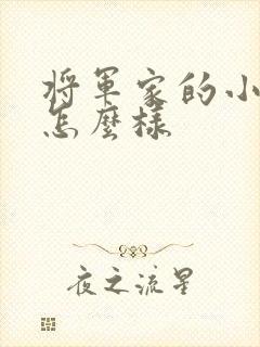 将军家的小娘子怎么样
