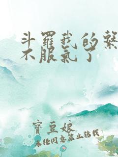 斗罗我的系统又不服气了