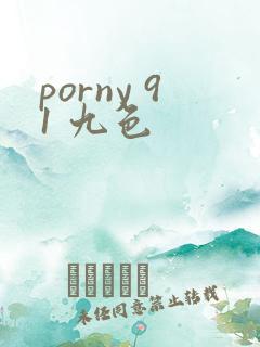 porny 91 九色