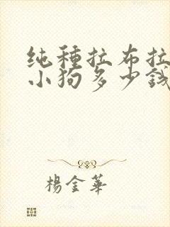 纯种拉布拉多犬小狗多少钱