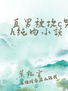 直男被攻c哭高h纯肉小说