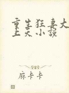 重生狂妻大佬宠上天小说