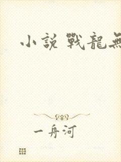 小说 战龙无双