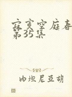 寂寞空庭春欲晚第35集
