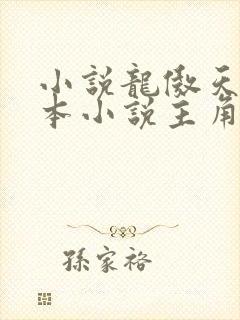小说龙傲天是哪本小说主角