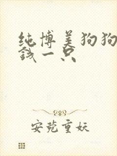 纯博美狗狗多少钱一只