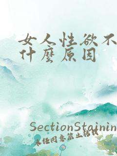 女人性欲不高是什么原因