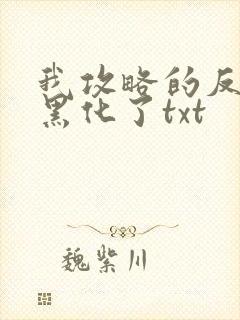 我攻略的反派都黑化了txt