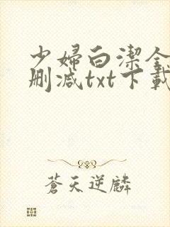 少妇白洁全文无删减txt下载