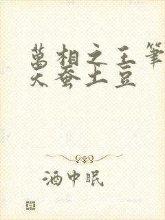 万相之王笔趣阁天蚕土豆