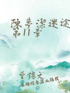陈梦洁迷途红颜第11章