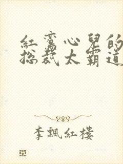 红鸾心儿的闪婚总裁太霸道
