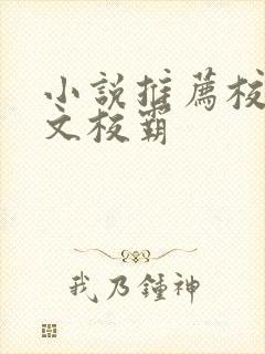 小说推荐校园甜文校霸