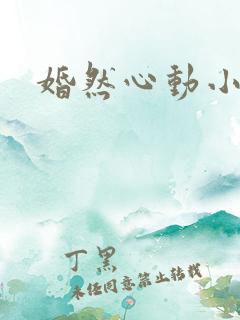 婚然心动小说