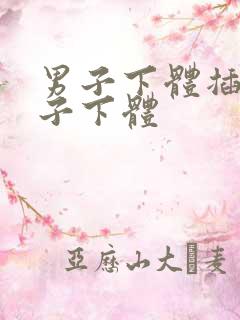 男子下体插入女子下体