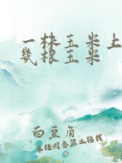 一株玉米上能长几根玉米